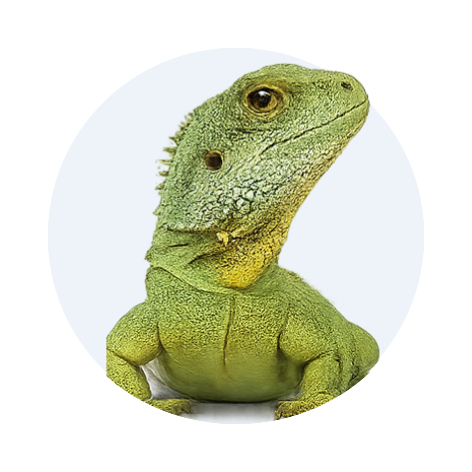 Reptil oder Amphibie